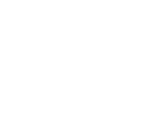 PlayOff